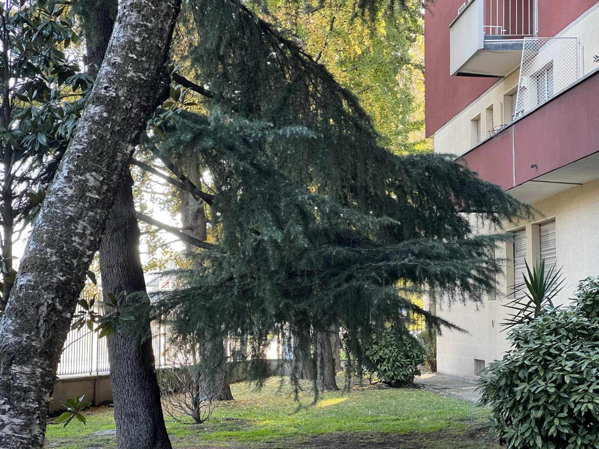 Jabu Wifi Gigabit Fiera Rho Appartement *